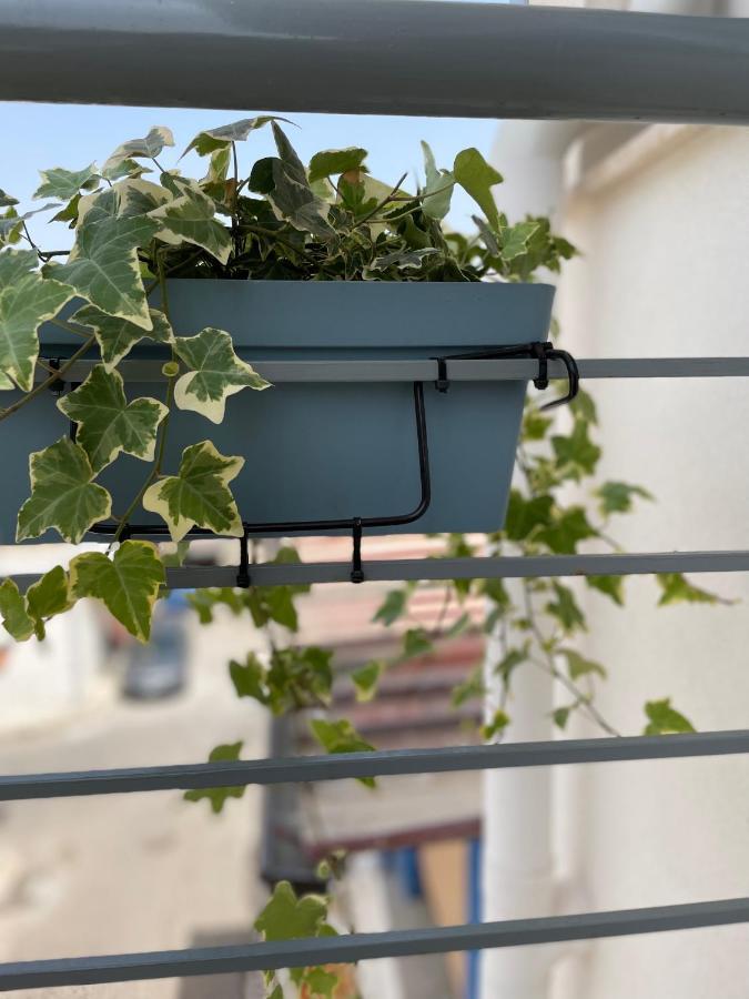 Apartament Holiday House Da Vinci Terrasini Zewnętrze zdjęcie